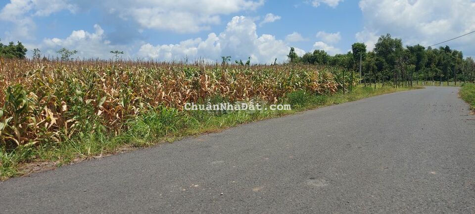 Đất sào đón đầu cao tốc Biên Hòa Vũng Tàu, đường nhựa, SR