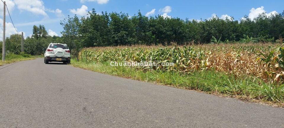 Đất sào đón đầu cao tốc Biên Hòa Vũng Tàu, đường nhựa, SR