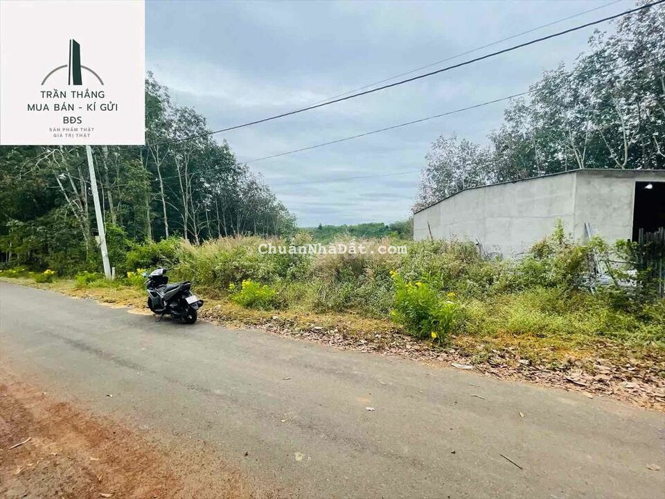 Suối Rao 1sào6 Giảm 400triệu Từ 2tỷ4 Nay Còn 2tỷ