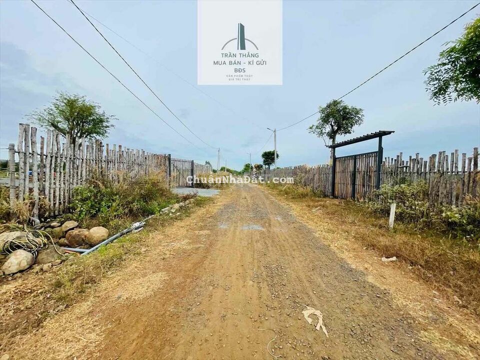 View Hồ Suối Rao kế bên Villa Bằng Lăng Tím