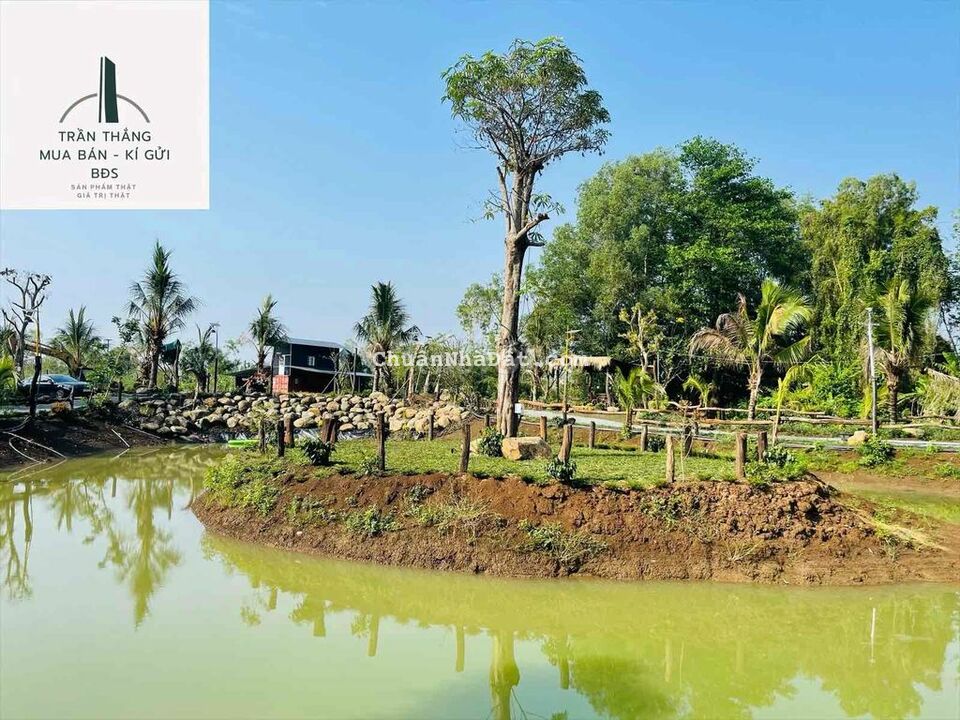 Farm nghĩ dưỡng xã Bình Trung - View Suối Lớn