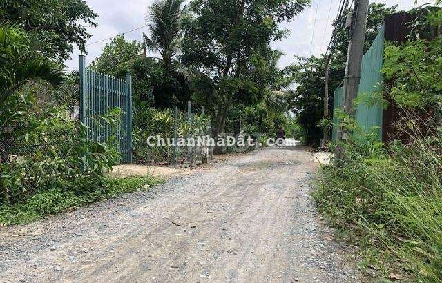 hết sức giữ vườn nên bán đất nhà có vườn sầu riêng trồng lâu rồi,