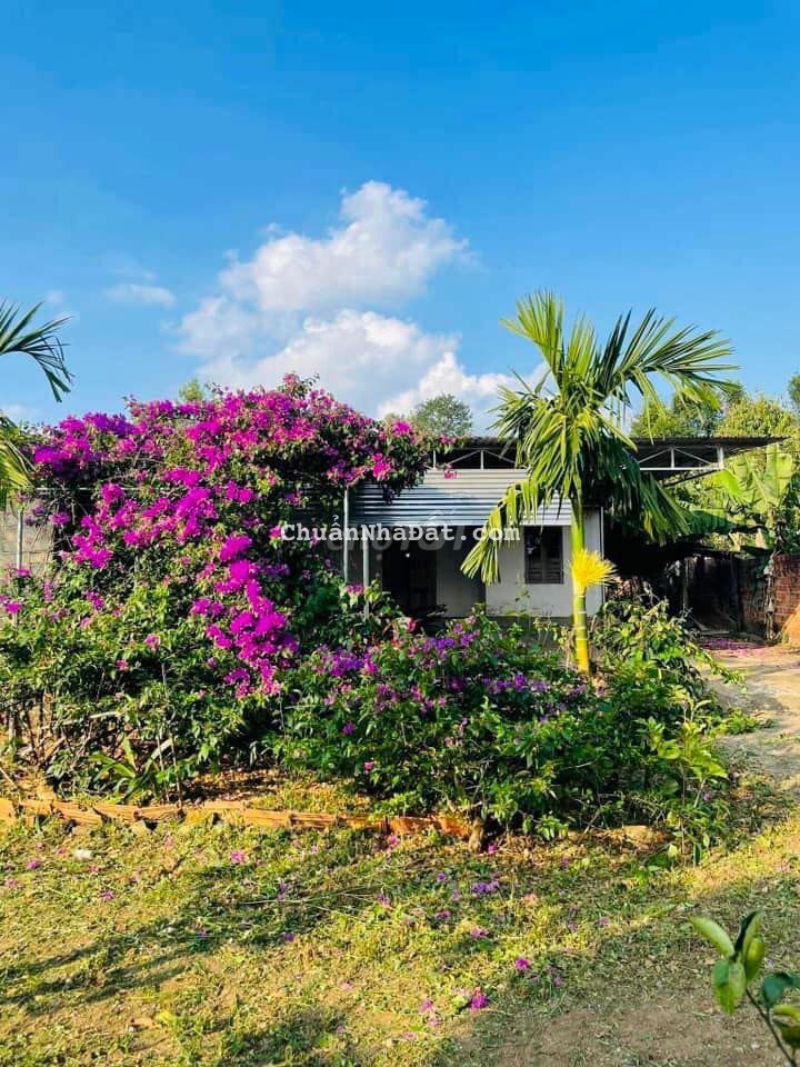 Kẹt tiền bán gấp đất vườn có sẵn cây ăn trái 1000m2 290tr