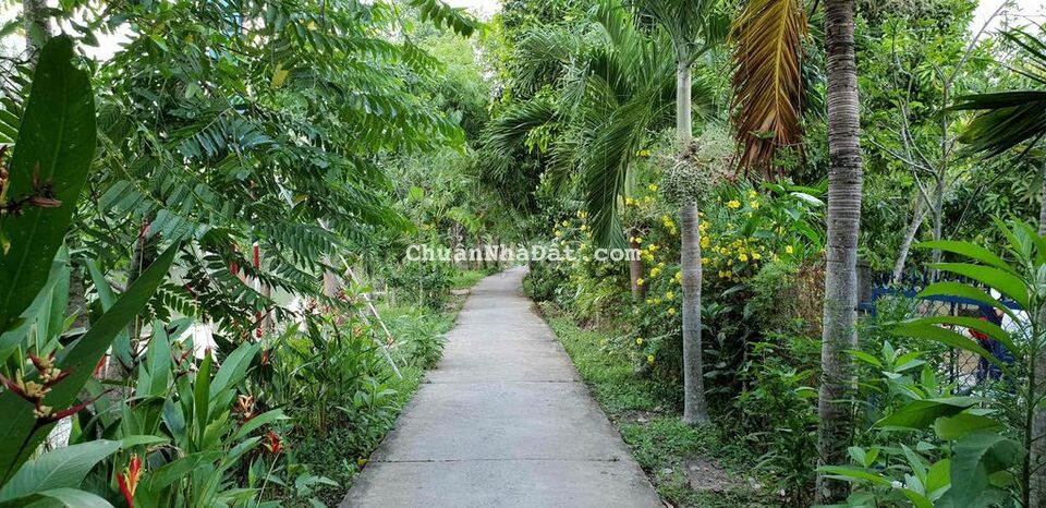 Tôi có lô đất vườn 1000m2 đang cần bán gấp