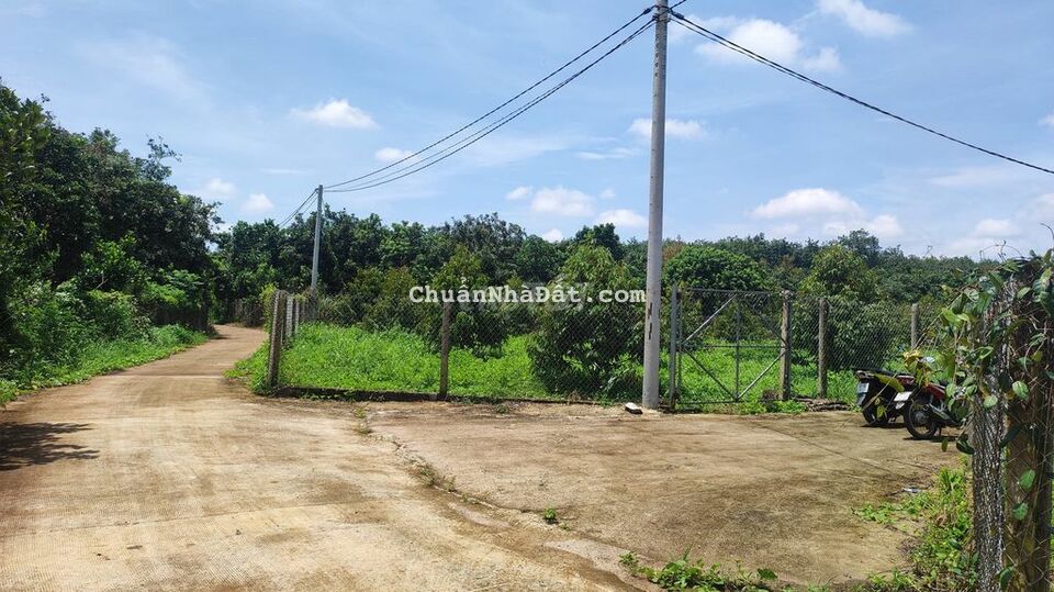 Cần bán nhanh vườn trái cây hơn 1 sào  sổ hồng riêng