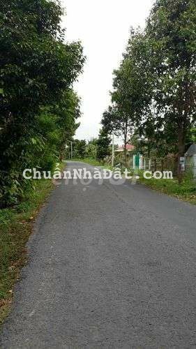 chú bảy tuổi già nên bán mảnh đất vườn, gần đường lớn, sắp đổ nhựa