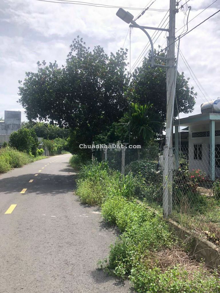 nhà cần bán vườn sầu riêng do tuổi già không giữ vườn được nữa