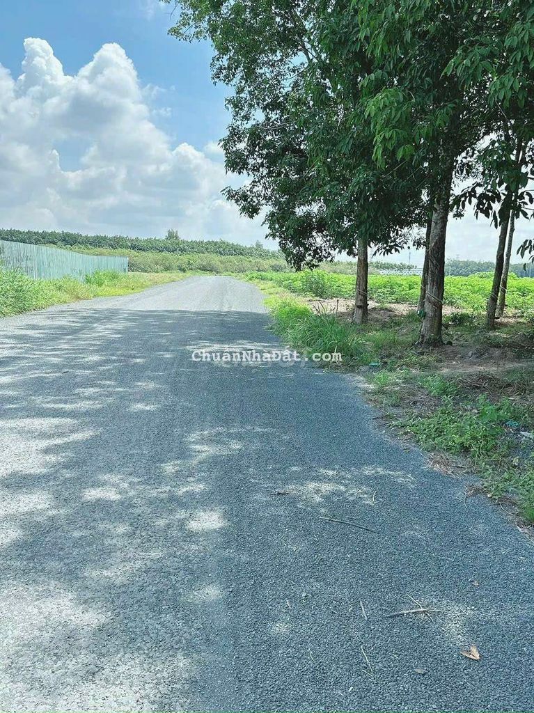 nhà cần bán mảnh vườn bưởi, đường nhựa ,mặt tiền 10m, tiện ích,...