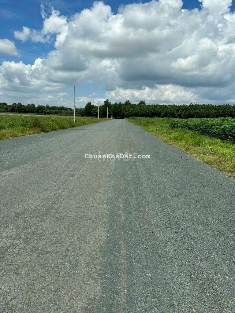 nhà cần bán mảnh vườn bưởi, đường nhựa ,mặt tiền 10m, tiện ích,...