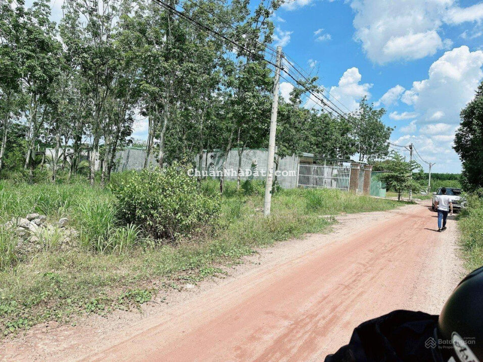Xuất hiện lô siêu rẻ MT đường Số 29 vành đai Becamex Minh Thành, Chơn Thành, Bình Phước, giá 580tr