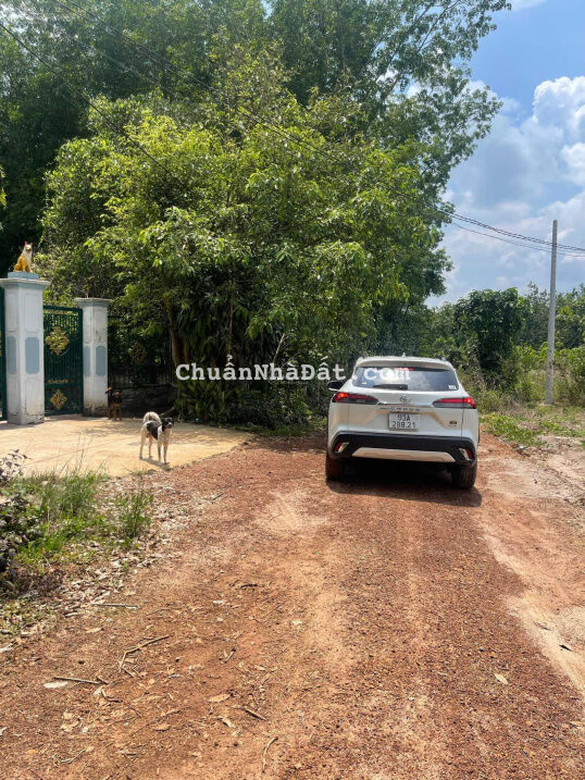 Cần tiền cắt lỗ gấp chỉ còn 550 triệu lô đất đường Số 36 phường Minh Thành, Chơn Thành, Bình Phước