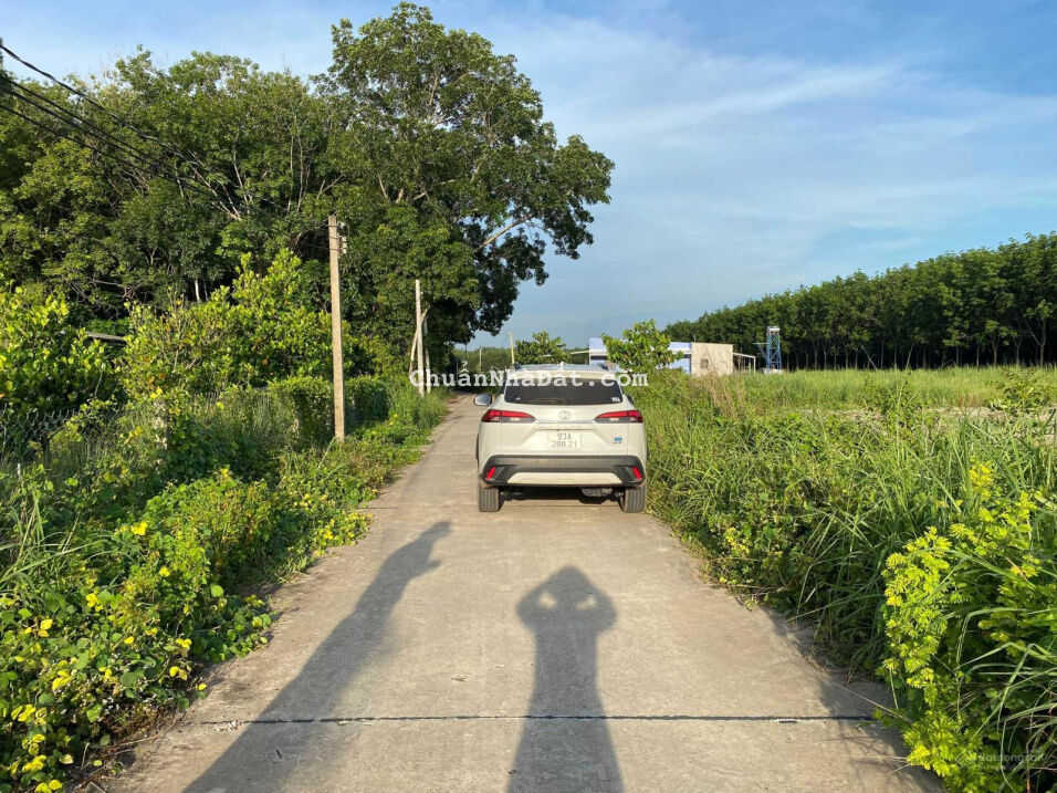 Rẻ nhất khu vực, giá 440tr, DT 5x45m Rẻ nhất khu vực, giá 440tr, DT 5x45m