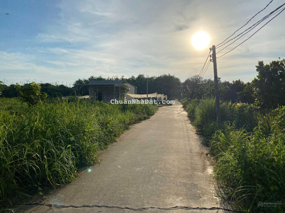 Rẻ nhất khu vực, giá 440tr, DT 5x45m Rẻ nhất khu vực, giá 440tr, DT 5x45m