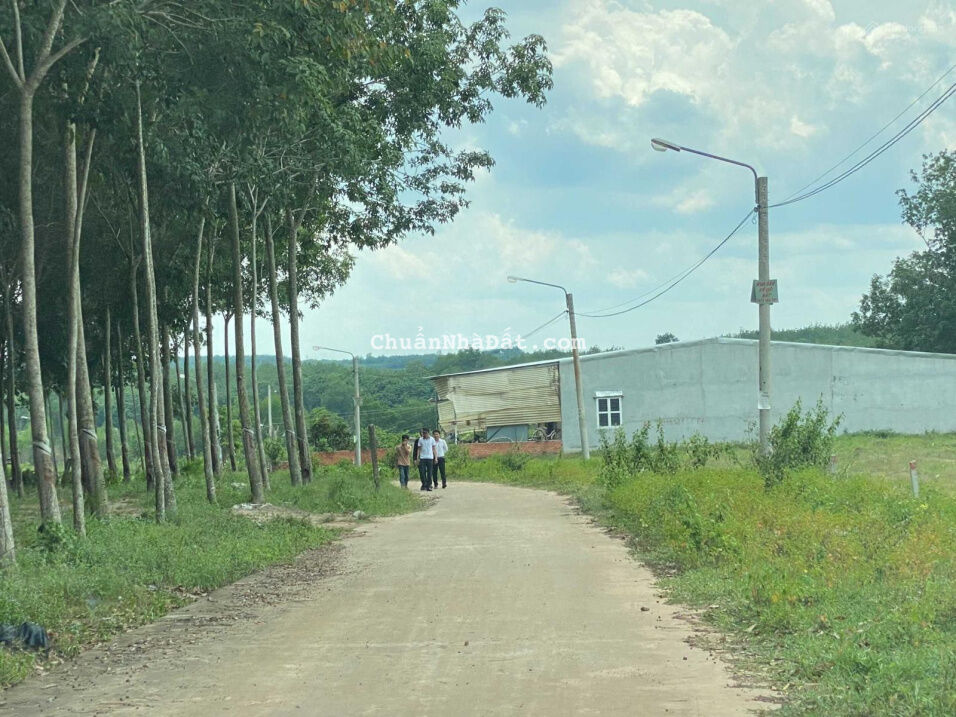 Tầm tiền 500! Không lô nào ngon bằng lô này! DT: 5x50m