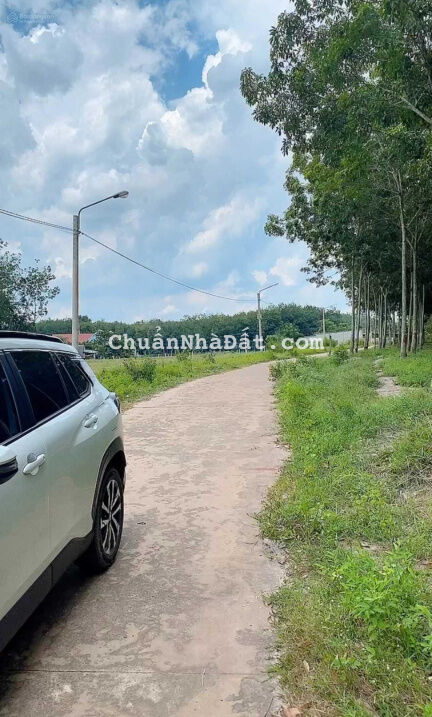 Tầm tiền 500! Không lô nào ngon bằng lô này! DT: 5x50m