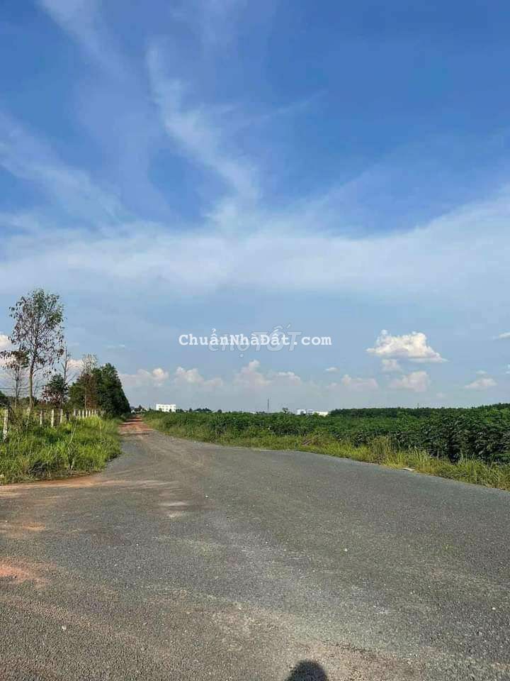 Chỉ 650tr ac ơi 5*50tc100m² lô đất full hồng đối diện là Becamex