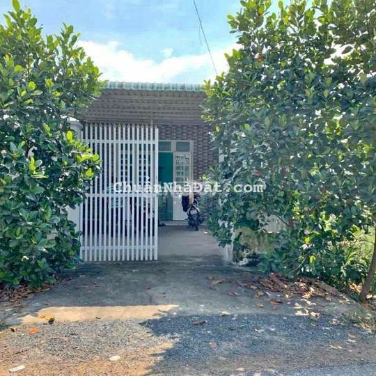 Cần bán vườn mít diện tích 3000m2 ngay Thị trấn Chơn Thành, Bình Phước