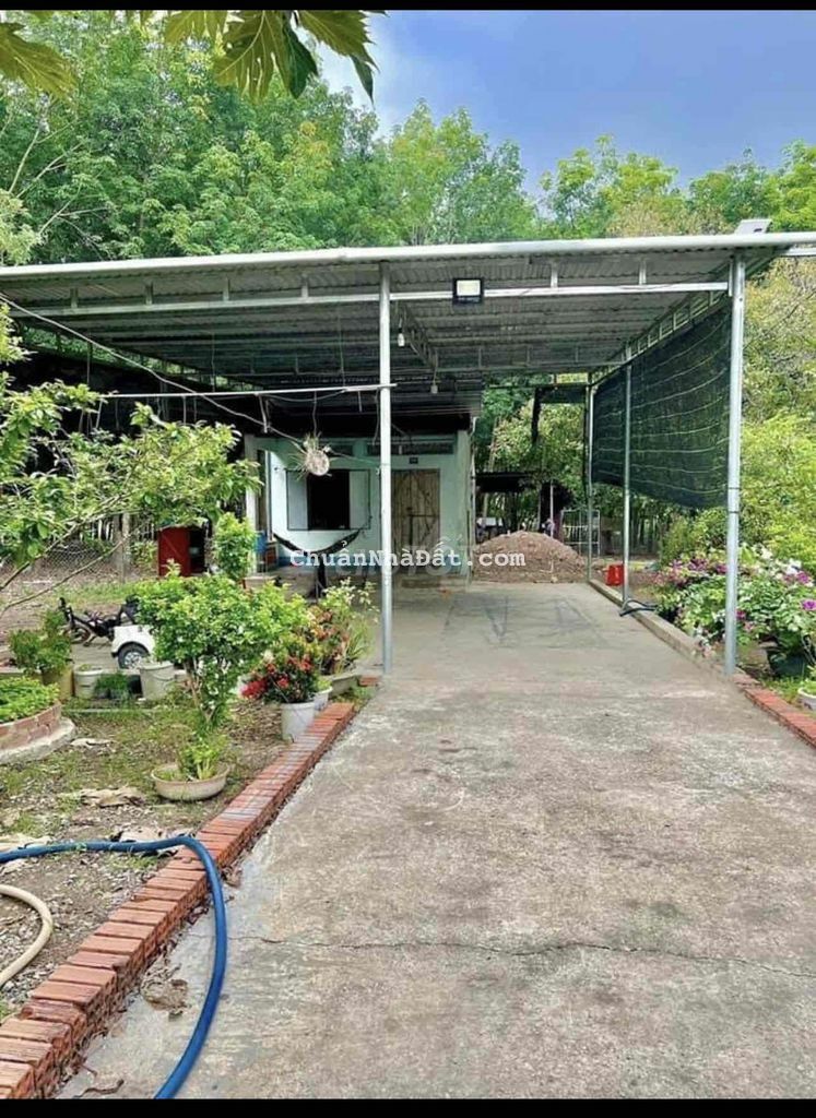 Bán Nhà Vườn Chơn Thành