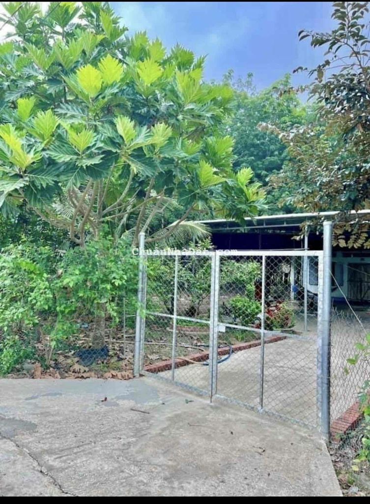 Bán Nhà Vườn Chơn Thành
