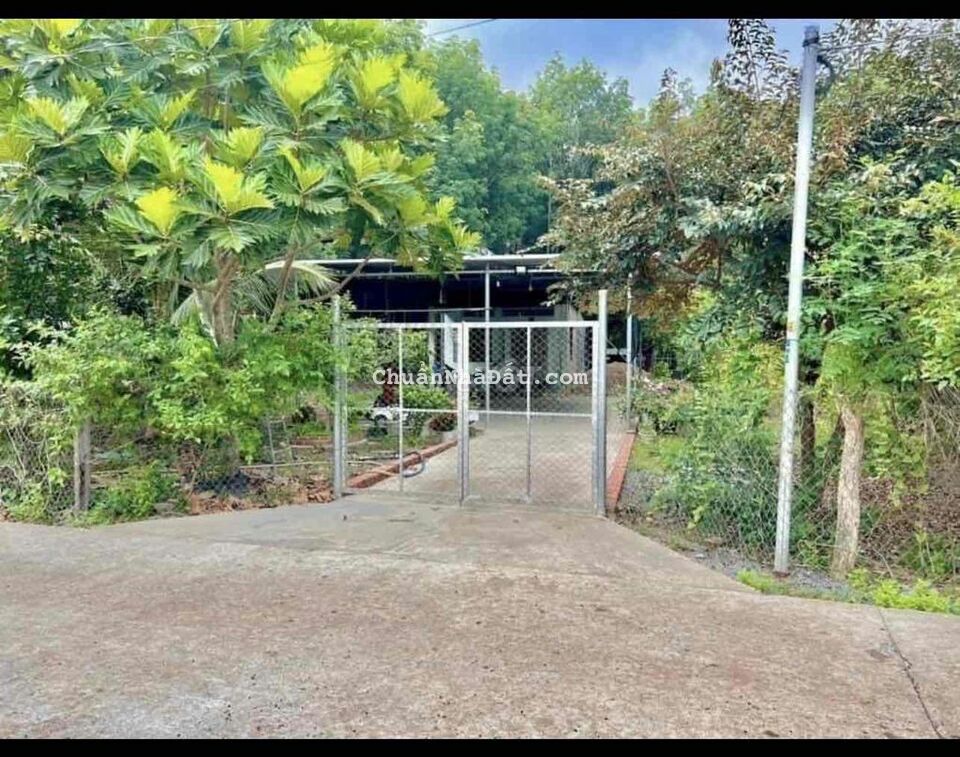Bán Nhà Vườn Chơn Thành