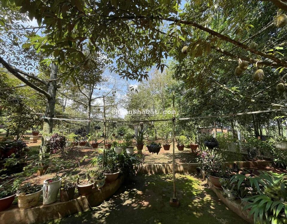 Bán Đất có Thổ Cư