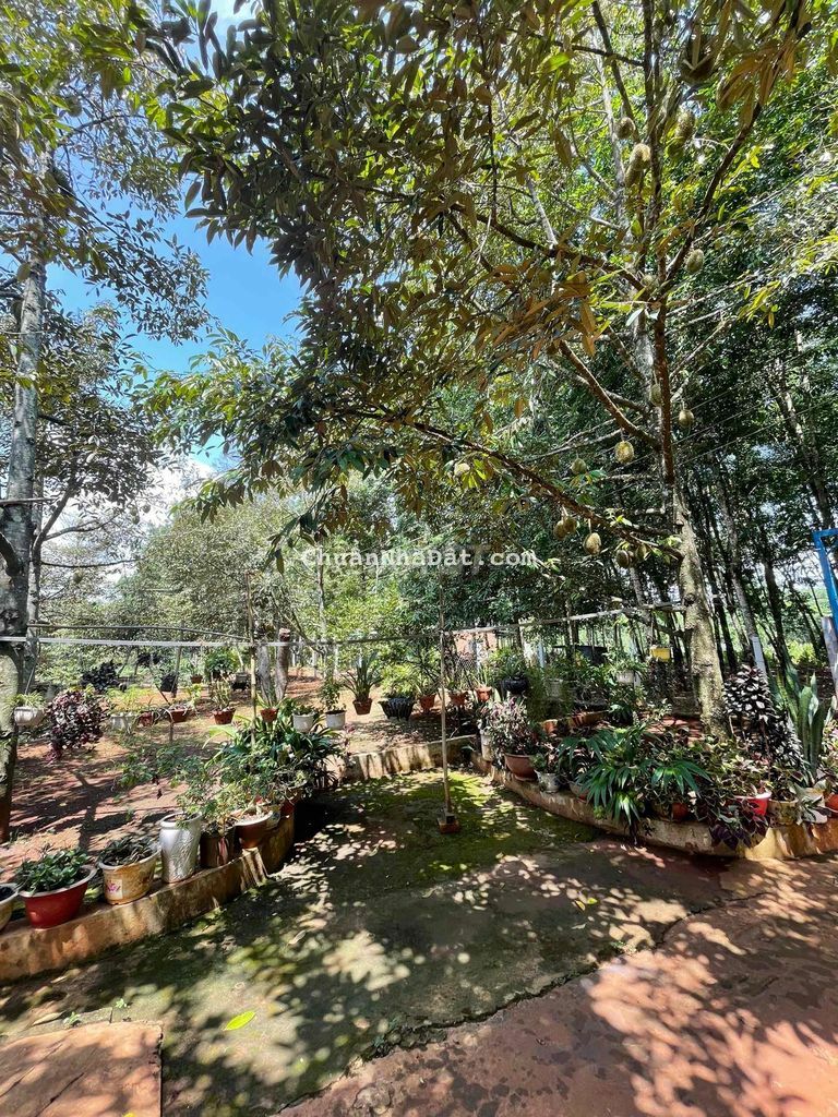 Bán Đất có Thổ Cư