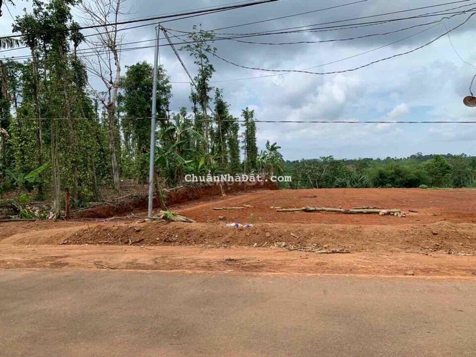 Bán Nhà Vườn ở Chơn Thành