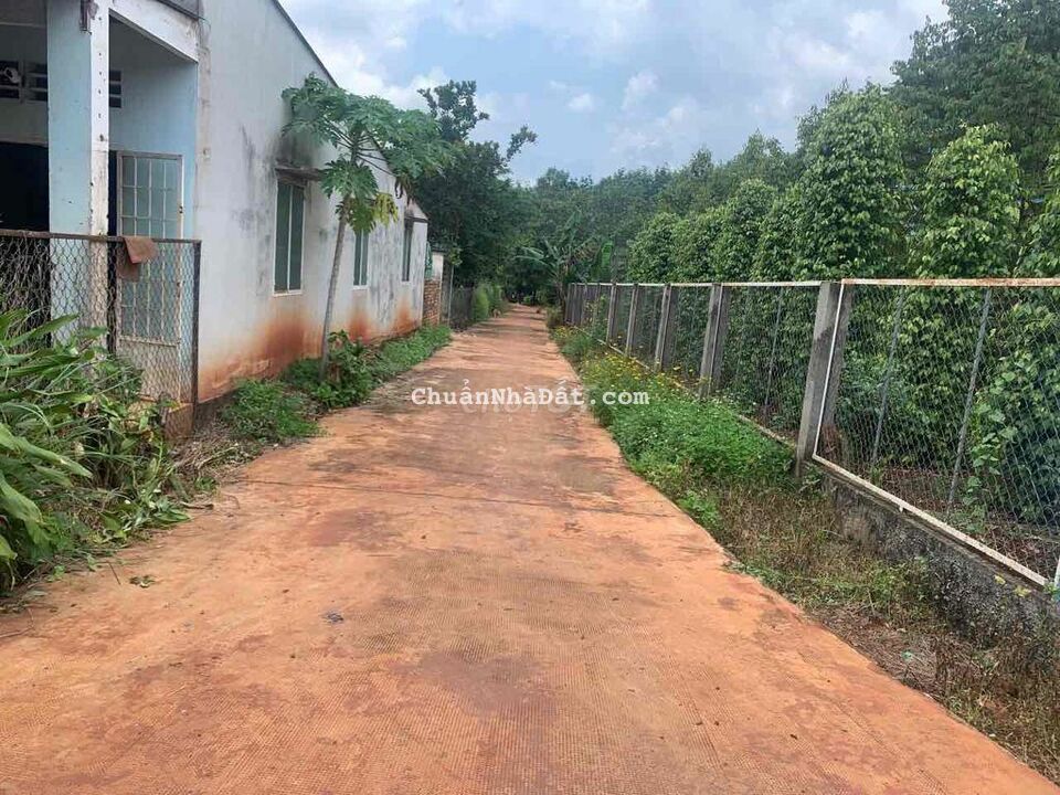 Bán Nhà Vườn ở Chơn Thành