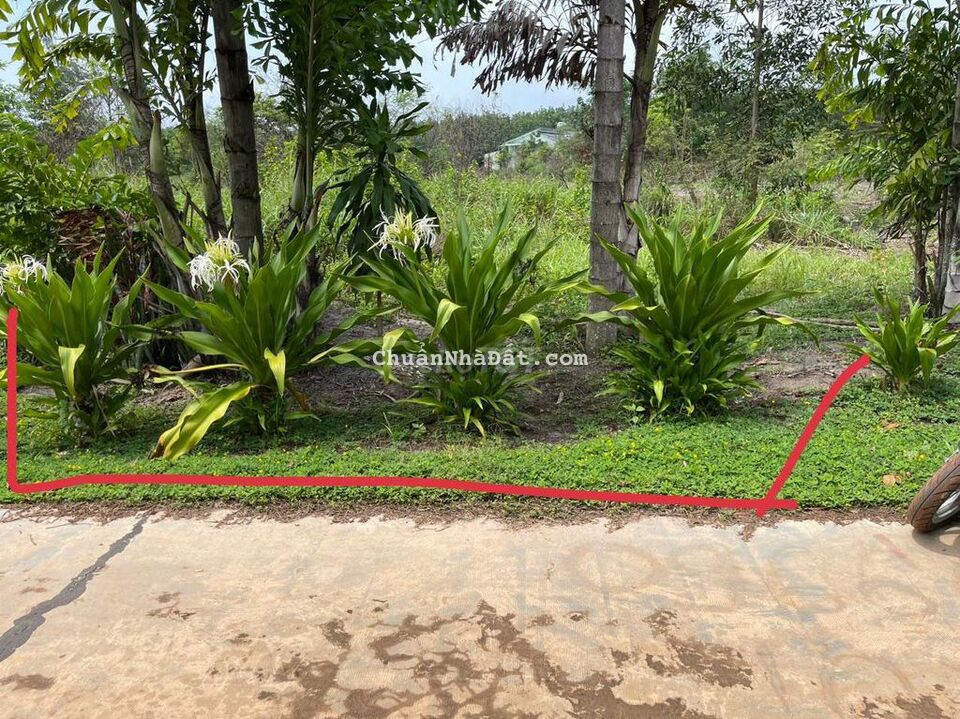 Bán lô 10*50tc100m² mặt tiền đ 41 sát bên KCN Minh Hưng Hàn Quốc rẻ