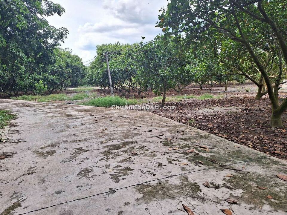 Lô đất 10x50 chủ đã đăng ký tc 100m² sát KCN đường rộng 12m chỉ 850tr