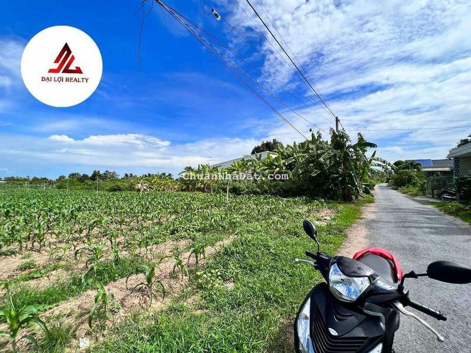 1 công đất mặt tiền nhựa nam hóc lựu, 12*57, 2.5tỷ