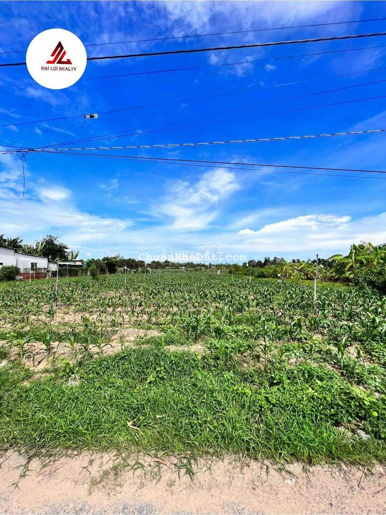 1 công đất mặt tiền nhựa nam hóc lựu, 12*57, 2.5tỷ