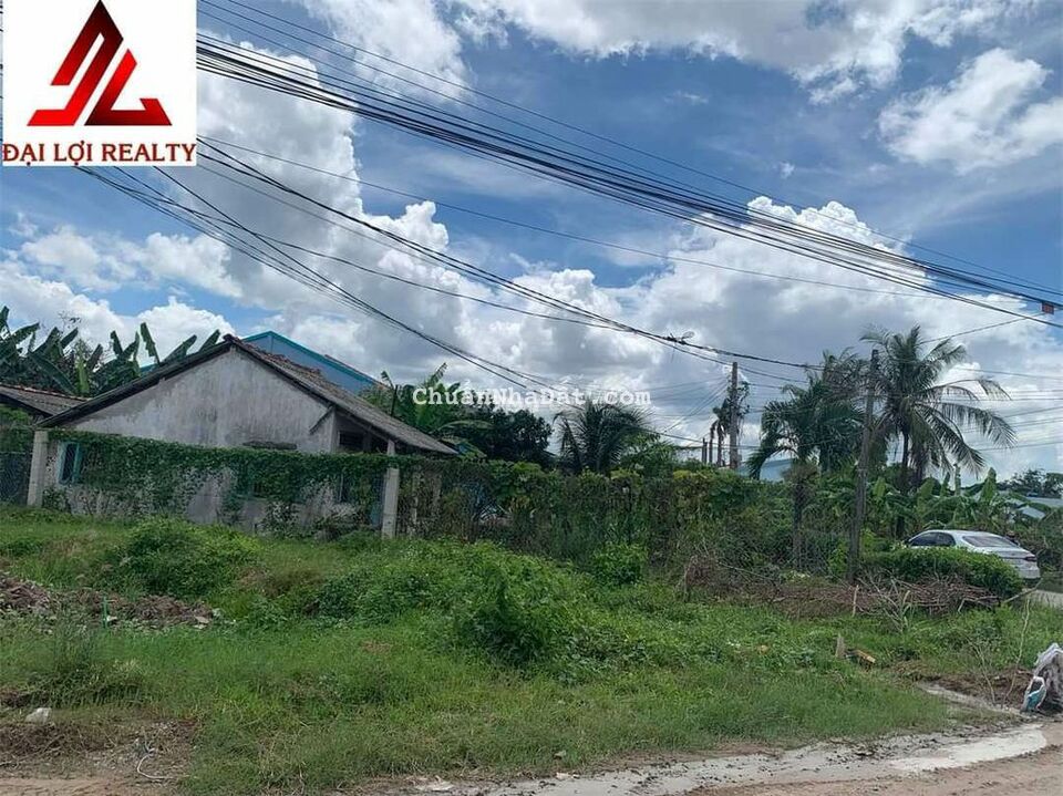 Bán đất mặt tiền nhựa DH25 Tân Thuận Bình 8*46, thổ cư, 1tyxx