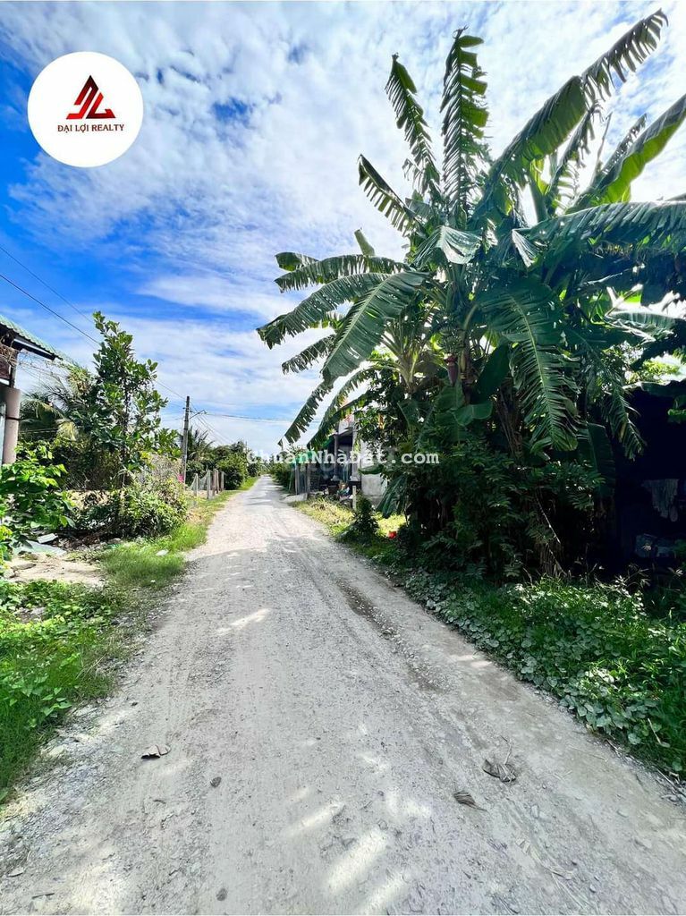 Đất mặt tiền nhựa chợ gạo, 430m2, 1tỷ2