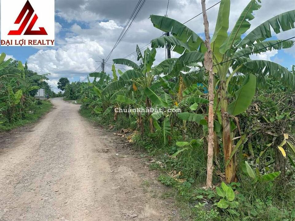 Đất 2 mặt tiền nhựa container, 800m2, 2tyxx bé xíu