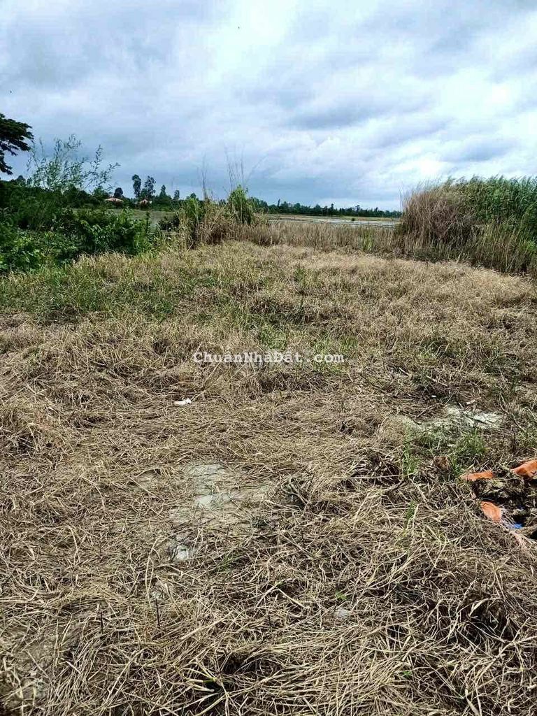 Bán 444m2 đất mặt tiền tỉnh lộ 944 - Hoà Bình Bán 444m2 đất mặt tiền tỉnh lộ 944 - Hoà Bình