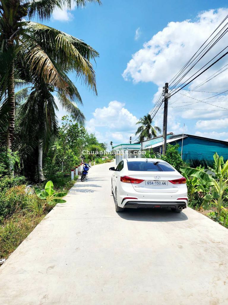 Bán nền thường thạnh cái răng giá 790tr Bán nền thường thạnh cái răng giá 790tr