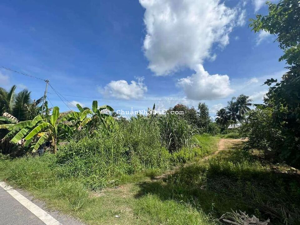 BÁN ĐẤT ĐẸP MẶT TIÈN TRƯƠNG VĨNH NGUYÊN, CÁI RĂNG, TPCT BÁN ĐẤT ĐẸP MẶT TIÈN TRƯƠNG VĨNH NGUYÊN, CÁI RĂNG, TPCT