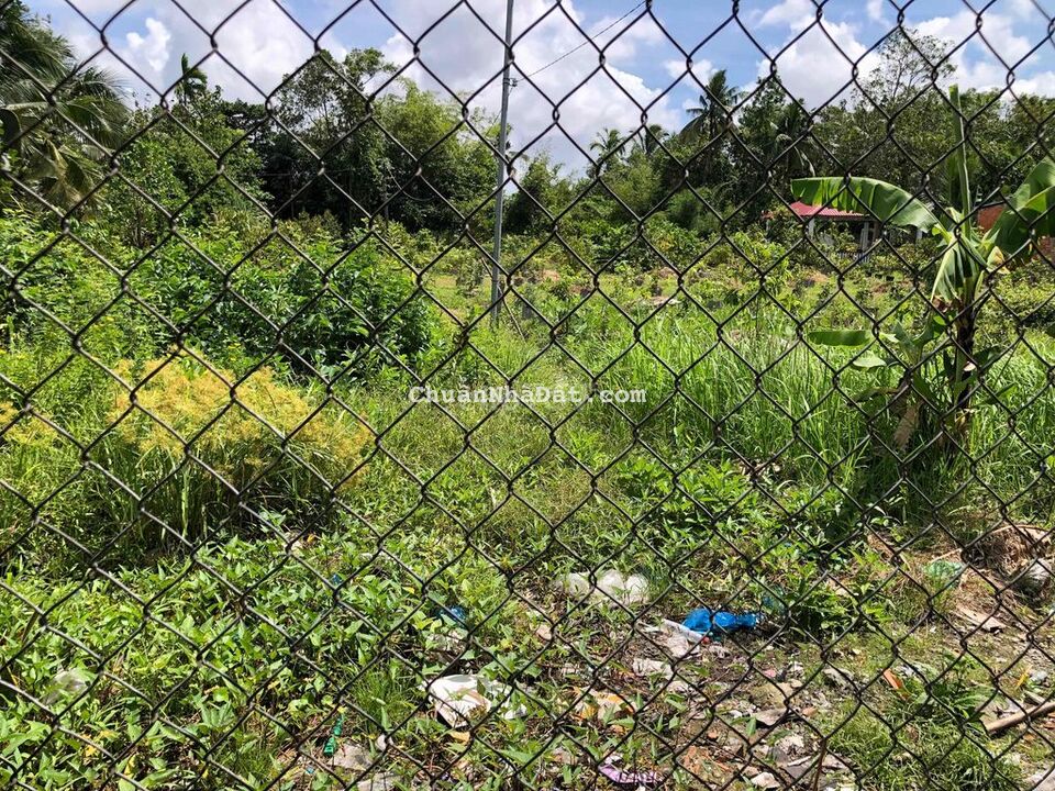 Nền 198m2 sổ Hồng CLN vuông vức Hẻm Nhánh đường Hàng Gòn cách QL1 1km Nền 198m2 sổ Hồng CLN vuông vức Hẻm Nhánh đường Hàng Gòn cách QL1 1km