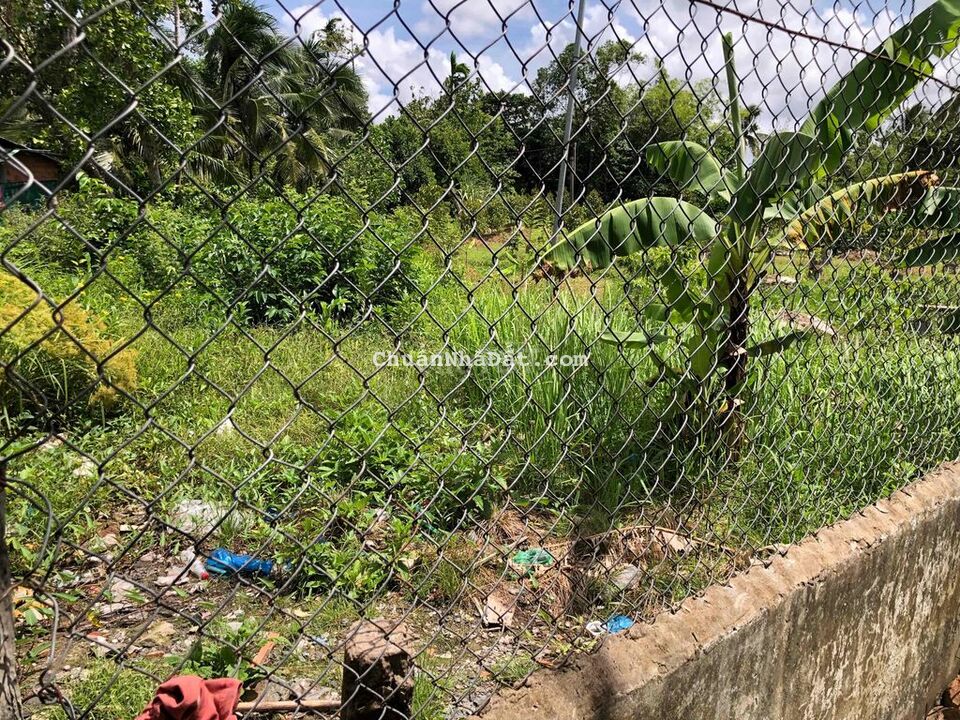 Nền 198m2 sổ Hồng CLN vuông vức Hẻm Nhánh đường Hàng Gòn cách QL1 1km Nền 198m2 sổ Hồng CLN vuông vức Hẻm Nhánh đường Hàng Gòn cách QL1 1km