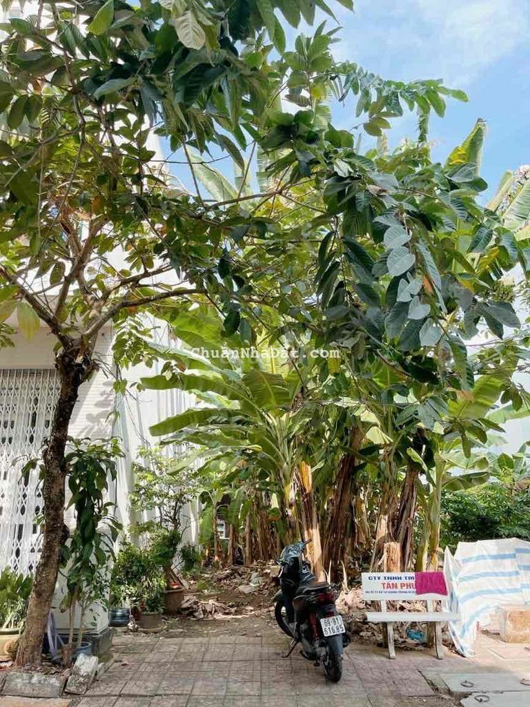 Đất thổ cư 55B2 khu Hưng Phú 1 Cần Thơ. Đông Nam Đất thổ cư 55B2 khu Hưng Phú 1 Cần Thơ. Đông Nam