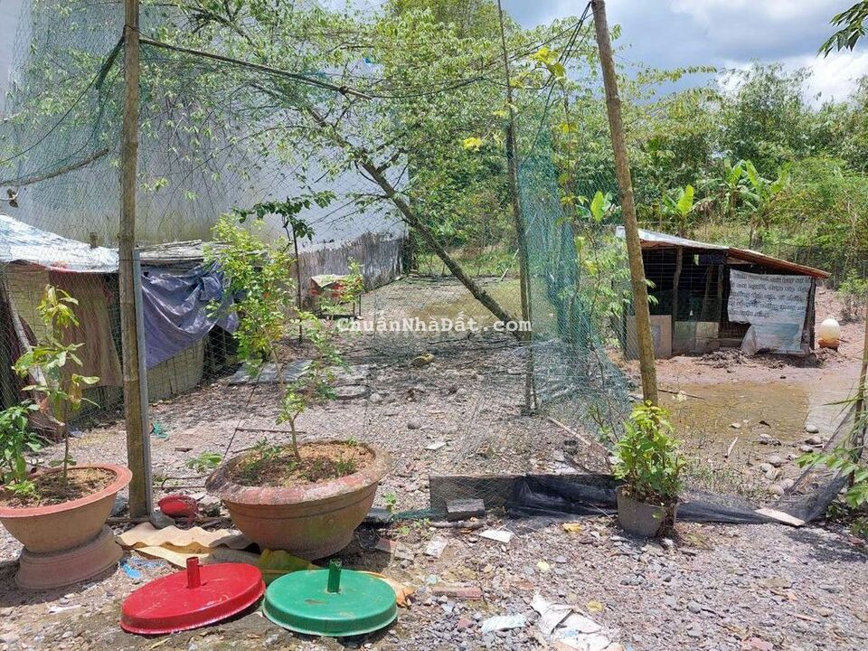 Nền hẻm nhánh rộng rãi và thoáng Nền hẻm nhánh rộng rãi và thoáng