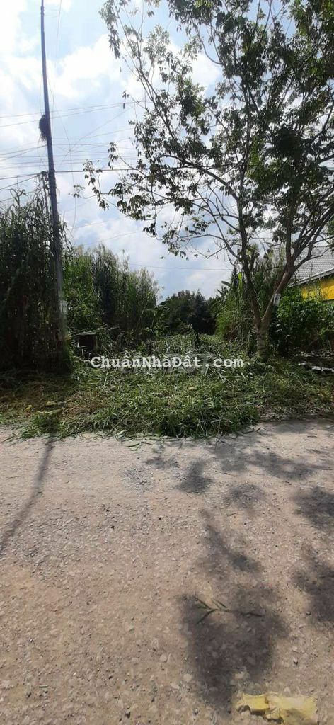 Giảm mạnh, bán lỗ đất lấy tiền cưới dâu Giảm mạnh, bán lỗ đất lấy tiền cưới dâu