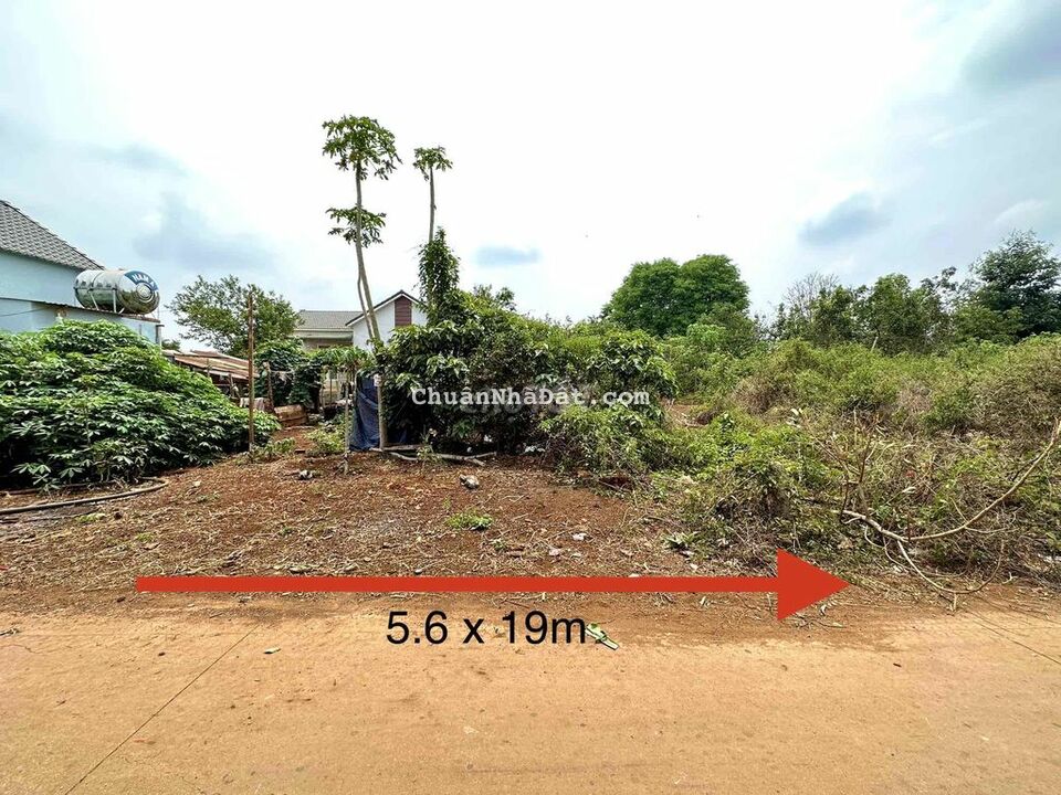 Đất hẻm Tỉnh lộ 8 gần khu Him Lam - 5.6 x 19m Đất hẻm Tỉnh lộ 8 gần khu Him Lam - 5.6 x 19m