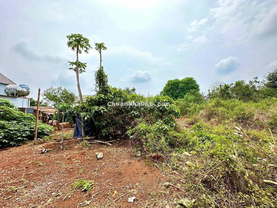 Đất hẻm Tỉnh lộ 8 gần khu Him Lam - 5.6 x 19m Đất hẻm Tỉnh lộ 8 gần khu Him Lam - 5.6 x 19m