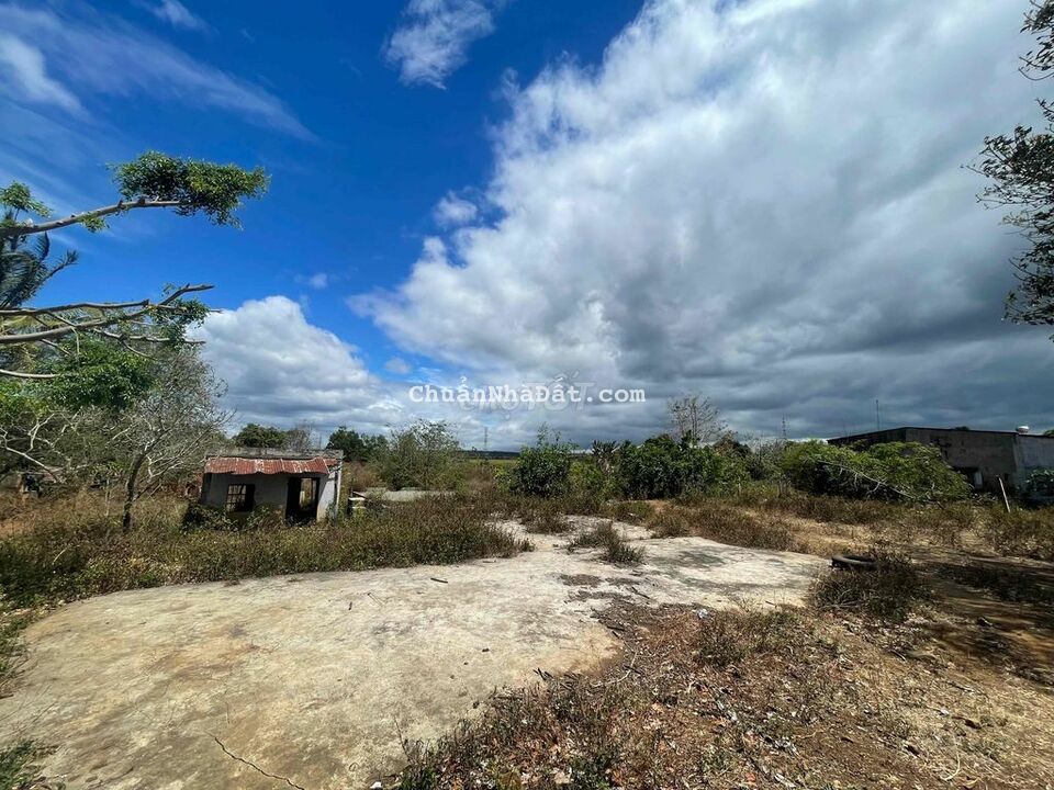 1.57ha tc200m2 ôm 70m mặt đường nhựa Quãng Hiệp