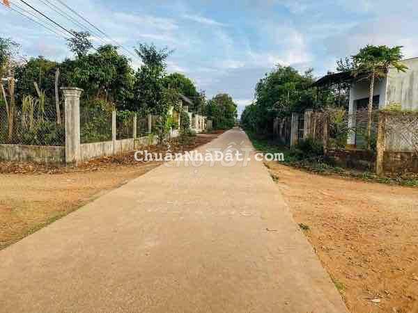 HẠ GIÁ GẤP LÔ ĐẤT CẤP 1 CUÔR ĐĂNG 10m CHỈ 610tr HẠ GIÁ GẤP LÔ ĐẤT CẤP 1 CUÔR ĐĂNG 10m CHỈ 610tr