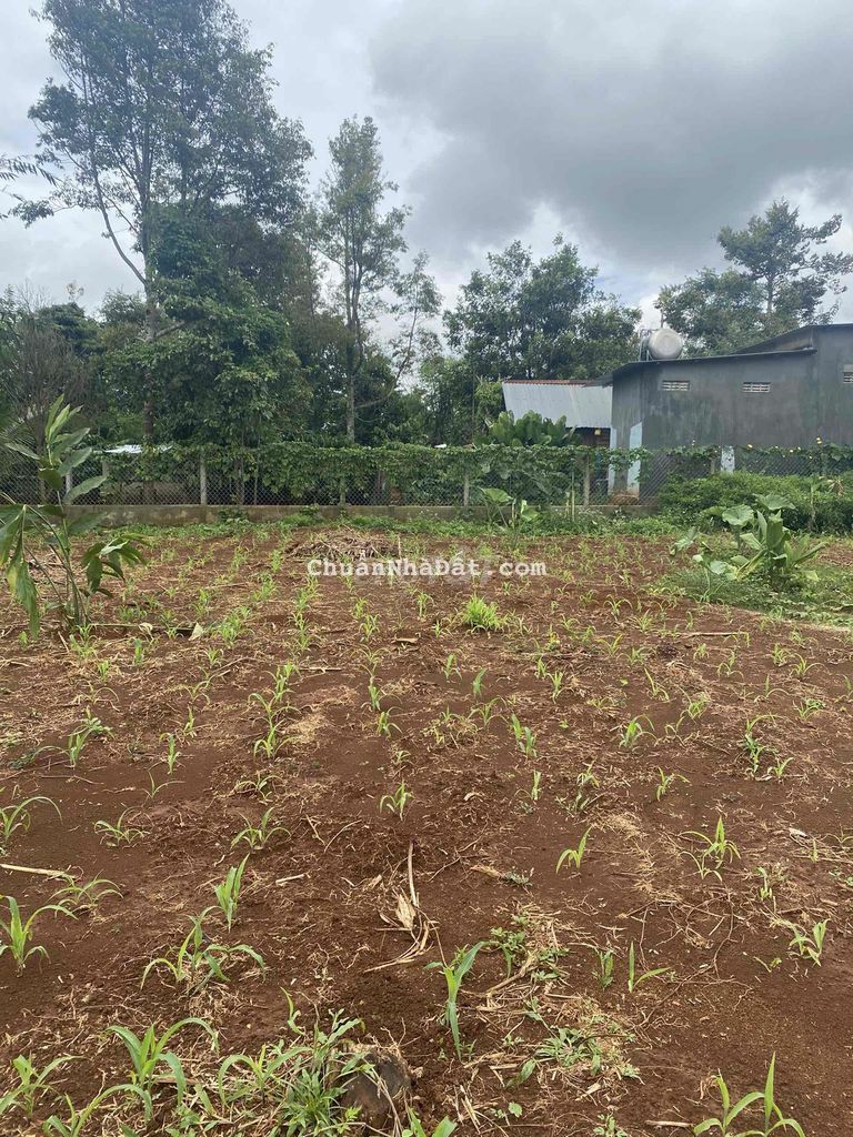 Đất TC hẻm cấp 1 cách Quốc Lộ 14 150m 10x19 680tr QA Đất TC hẻm cấp 1 cách Quốc Lộ 14 150m 10x19 680tr QA