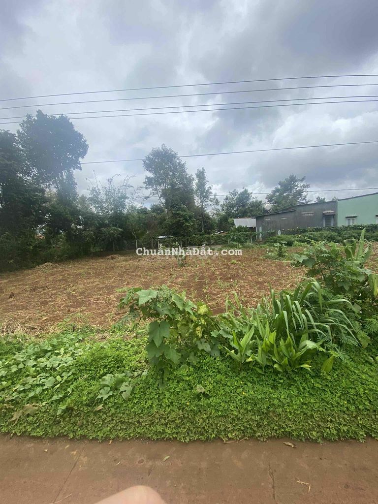 Đất TC hẻm cấp 1 cách Quốc Lộ 14 150m 10x19 680tr QA Đất TC hẻm cấp 1 cách Quốc Lộ 14 150m 10x19 680tr QA