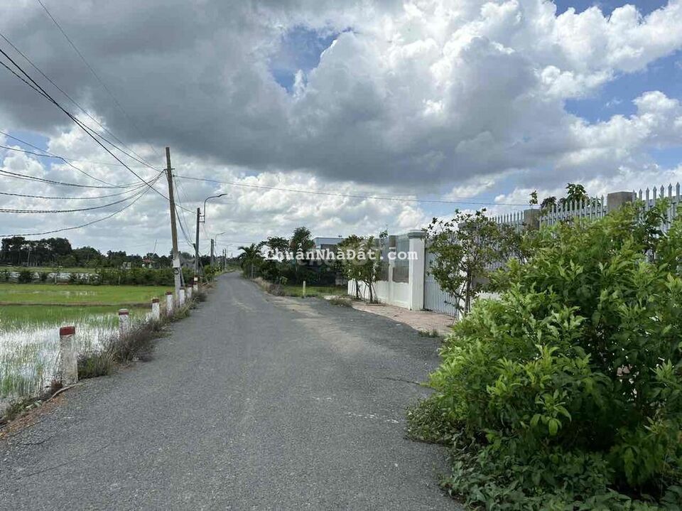 bán đất thổ mặt tiền nhựa mỹ lộc cần giuộc long an